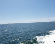 20190810_121041