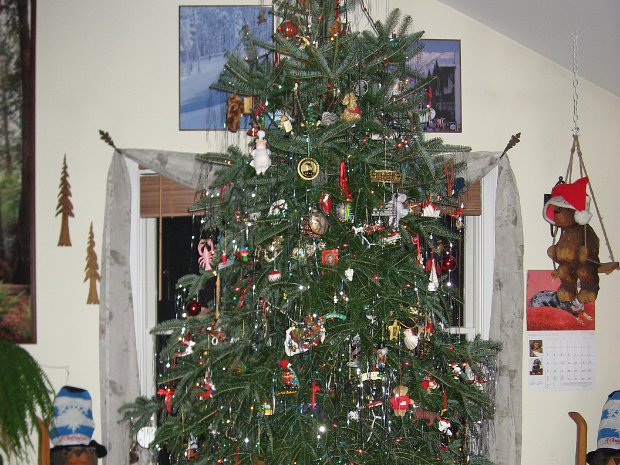 2006