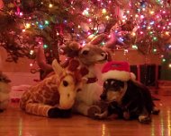 20161212_181747 JKJK |H�������#��٭�����T���T������������������������j�� L���������Ԗ����������6X������ ��l9������ ��� ��� ��� ��� �qf�qU��� ��� ��� ��� ��� ���...