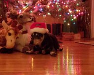 20161212_181751 JKJK |H�������#��٭�����%���%������������������������r�X kF����@��5������,��������R�|���� ���5��Ž��� ��� �qU��� ��� ��� ��� ��� ��� ��� ��� ��� ���...