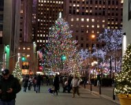 20171221_200432 JKJK'|H�������#��٭�����p���p������������������������s�Q������>E�e���R�����x����Q�����e...