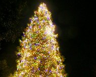 2024-12-01 19.32.41
