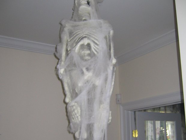 Haunt 2005