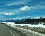 IMG_6491