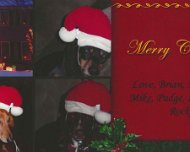 ourxmascards2009