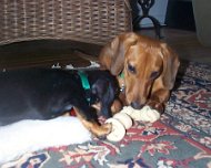Sharing