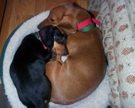 Sleeping