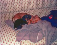 pals2
