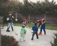 hockey1d