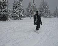 IMG_0382