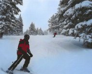 vail2008a2