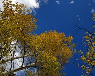 20161015_143158 JKJK |H�  ��  #� ٭      �  �                      } �     �� 
