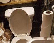 20180419_225538 JKJK'|H�  ��  #� ٭     ��� ���                    � � � T�    �� 5� �x����������j �����...